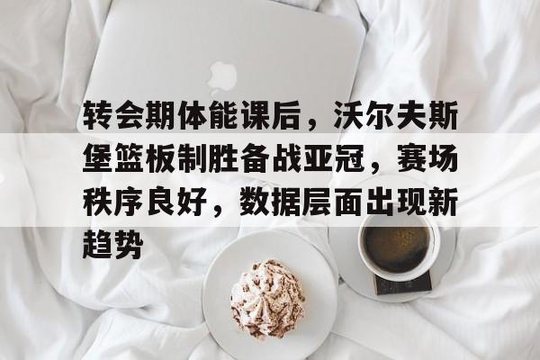 爱游戏在线-转会期体能课后，沃尔夫斯堡篮板制胜备战亚冠，赛场秩序良好，数据层面出现新趋势的简单介绍